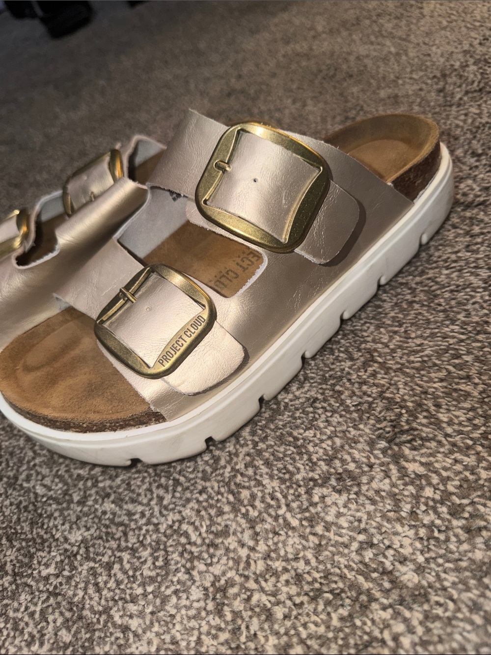 Project Cloud Metallic Gold Double-Buckle Slide Sandals - Gold